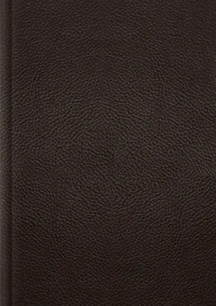 ESV Single Column Journaling Bible, Large Print