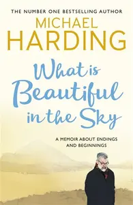 What is Beautiful in the Sky - Michael Harding