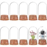 10 set Glass Dome Cover