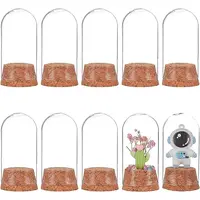 10 set Glass Dome Cover