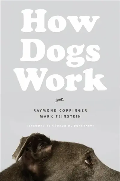 How Dogs Work - Mark Feinstein, Raymond Coppinger
