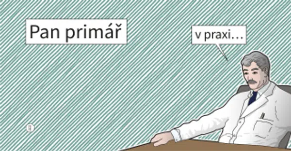 Pan primář v praxi - Primář Pan - e-kniha