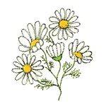 O heřmánkové víle - Marie Kubátová - audiokniha