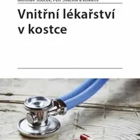 Vnitřní lékařství v kostce - Miroslav Souček, Petr Svačina