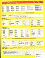Česká gramatika v kostce / Czech Grammar in a Nutshell - Lída Holá