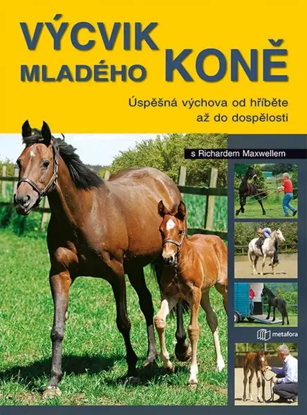 Výcvik mladého koně - Richard Maxwell