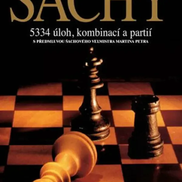 Šachy - Polgár László