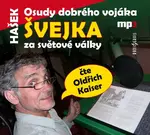 Osudy dobrého vojáka Švejka (díl 1. V zázemí)