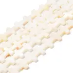 Natural Freshwater Shell Beads Strands