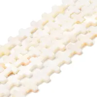 Natural Freshwater Shell Beads Strands