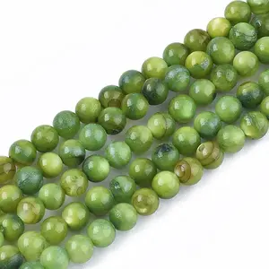 Freshwater Shell Beads Strands