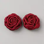 Polyester Shoe Buckle Clip