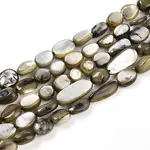 Natural White Shell Beads Strands