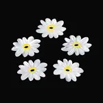 Natural White Shell Pendants