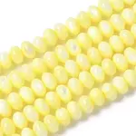 Natural Freshwater Shell Beads Strands