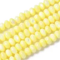 Natural Freshwater Shell Beads Strands