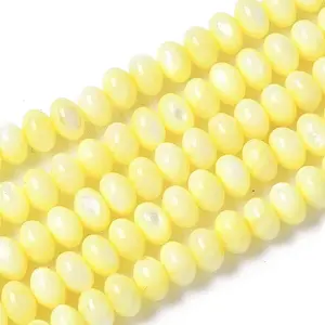 Natural Freshwater Shell Beads Strands