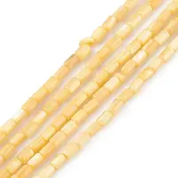 Natural Freshwater Shell Dyed Beads Strands