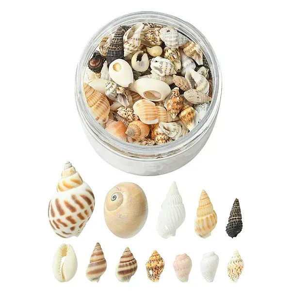 12 Styles Natural Mixed Shell Beads