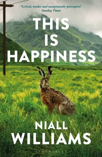 This Is Happiness - Williams Niall