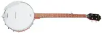 Epiphone MB-100