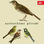 Zvukové efekty – Nasloucháme přírodě