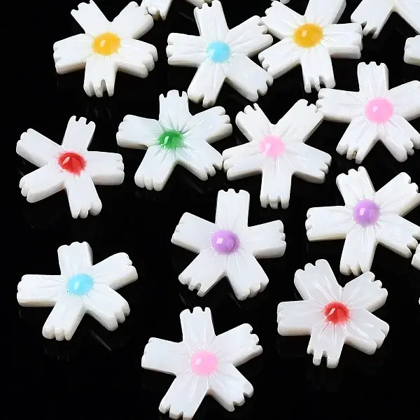 Natural Freshwater Shell Beads