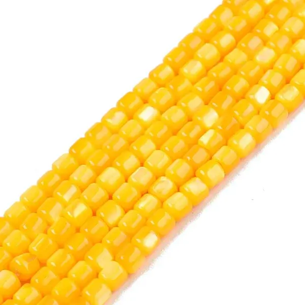 Natural Freshwater Shell Beads Strands