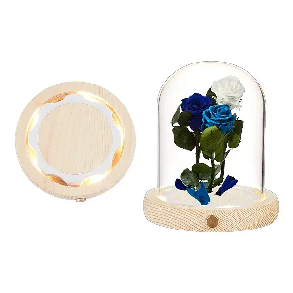 Glass Dome Cover