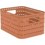 Rotho ÚLOŽNÝ BOX, plast