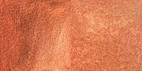 Akvarelová barva Sennelier 10ml – 36 Iridescent Copper