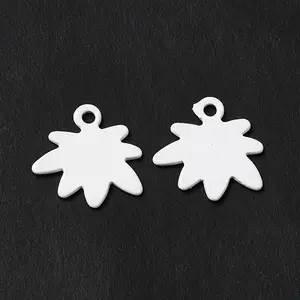 Spray Painted 201 Stainless Steel Charms