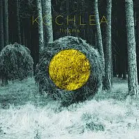 Kochlea – Flegma