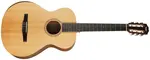 Taylor Academy 12e-N