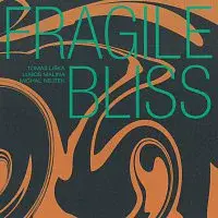 Tomáš Liška, Luboš Malina, Michal Nejtek – Fragile Bliss CD