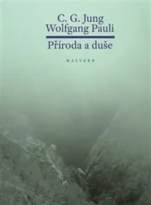 Příroda a duše - Carl Gustav Jung, Wolfgang Ernst  Pauli