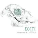 Kolektivní Halucinace – Kosti CD