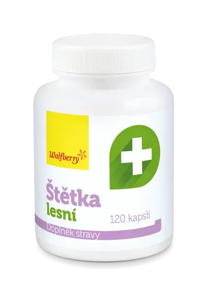 Wolfberry Štetka lesná
