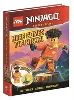 LEGOÂ® NINJAGOÂ®: Here Comes the Ninja! (with Arin minifigure and dragon mini-build) - Buster Books, LEGOÂ®