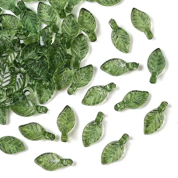 Transparent Acrylic Charms