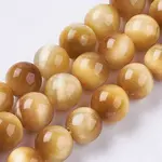 Natural Tiger Eye Bead Strands