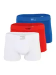 Tommy Hilfiger Underwear Boxerky  modrá / červená / biela