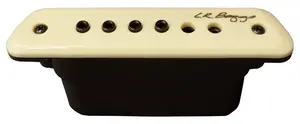 L.R. Baggs M1