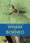 A Naturalist's Guide to the Spiders of Borneo - Wong Tsu Shi