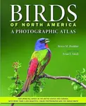 Birds of North America - Bruce M.  Beehler