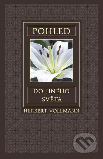 Pohled do jiného světa - Herbert Vollmann - kniha z kategorie Spiritualita
