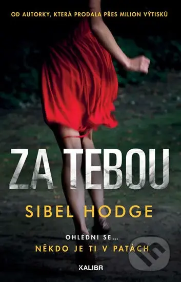 Za tebou (Ohlédni se... Někdo je ti v patách) - Sibel Hodge - kniha z kategorie Thrillery