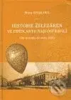 Historie železáren ve Frýdlantu nad Ostravicí ((Od počátku do roku 1913)) - kniha z kategorie Historie