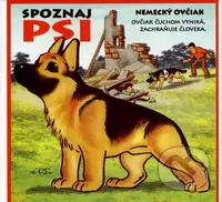 Psi - Ladislav Csurma, Miroslav Dobrucký - kniha z kategorie Pro děti