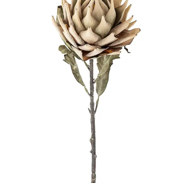 Umělé květiny Bloomingville Protea Stem 76 cm více barev
